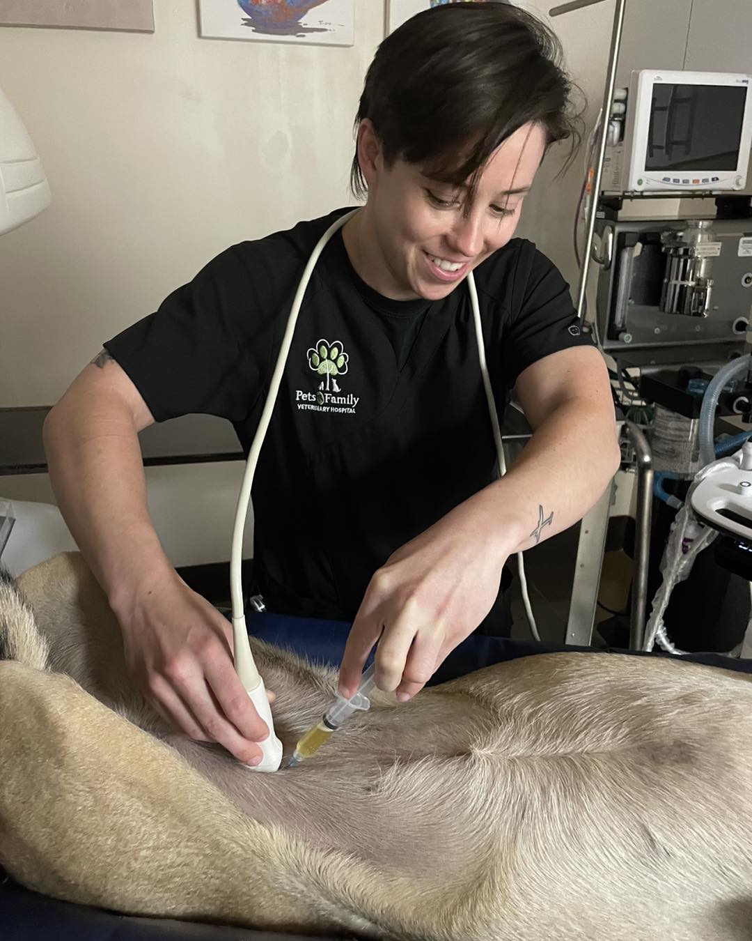 Mckenzie performing an ultrasound on a dog