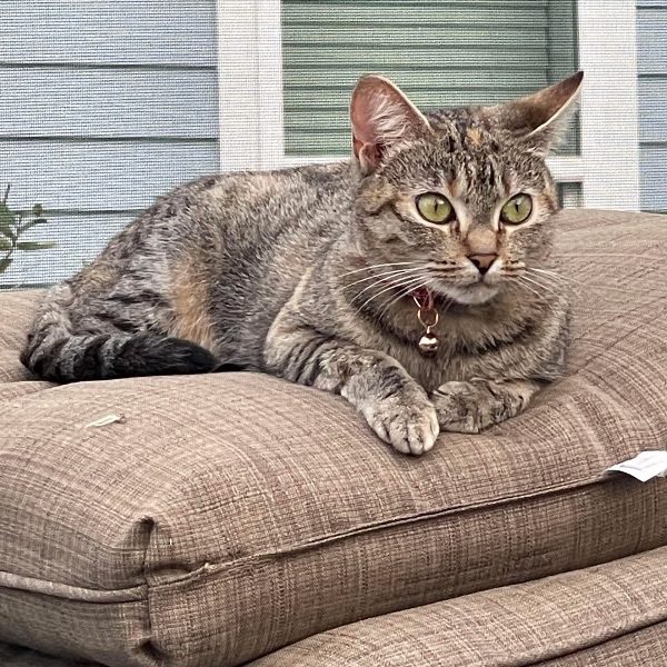 Maggie
